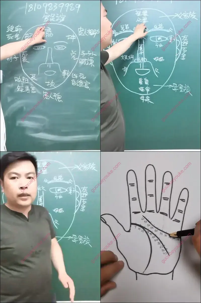 龙羿面相 面相精英版 视频30集 百度网盘分享 - 国学优课 | guoxueyouke.com